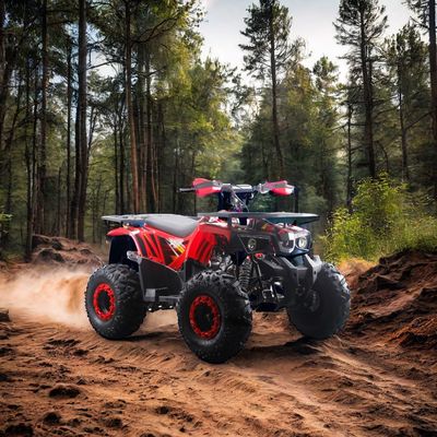 Powerful 125cc Gas Fuel ATV Quads with 2WD Driving Type and Interesting Features