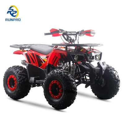 Powerful 125cc Gas Fuel ATV Quads with 2WD Driving Type and Interesting Features