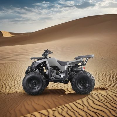 Powerful 200cc Gas ATV for Adults Maximum Torque of 40-60Nm and Top Speed of 75km/h