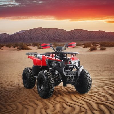 Powerful 200cc Gas ATV for Adults Maximum Torque of 40-60Nm and Top Speed of 75km/h