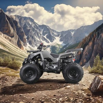 Powerful 200cc Gas ATV for Adults Maximum Torque of 40-60Nm and Top Speed of 75km/h