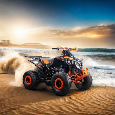 110cc Air Cooled Petrol 4 Wheeler ATV Quad Bike with Maximum Torque Nm of 20-40Nm