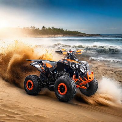 Transmission Chain Drive 125CC ATV 4 Wheeler with Powerful Engine and CE Certification