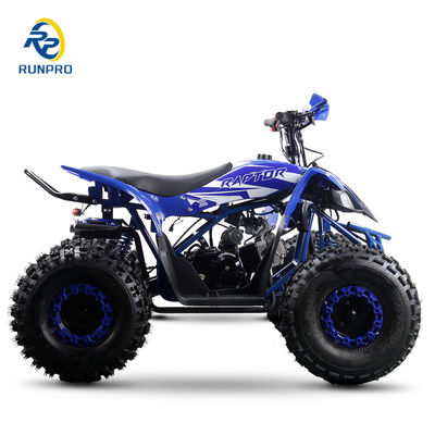 125cc Full Automatic Gasoline Runpro Quads ATV with Electric Start and Tvs Motorcycle