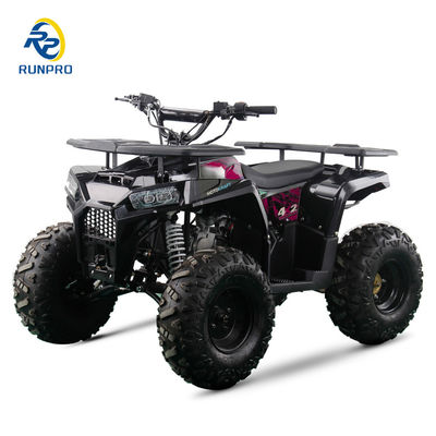 CE Certified 125cc 4 Stroke Petrol Beach Buggy with 8inch Wheels and 150kgs Max Loading