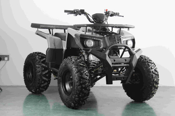 All-terrain 200CC Petrol Adult ATV with Automatic Engine and 10 Inch Steel Wheels