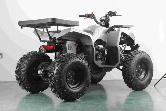 All-terrain 200CC Petrol Adult ATV with Automatic Engine and 10 Inch Steel Wheels