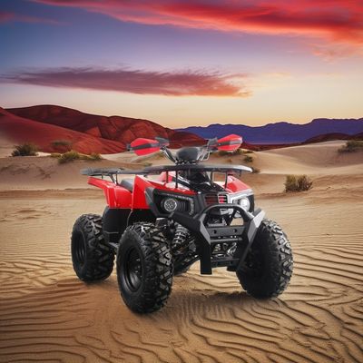 2024 Runpro 10 Inch Steel Tire 200cc ATV with LED Light Unleash Your Inner Adventurer