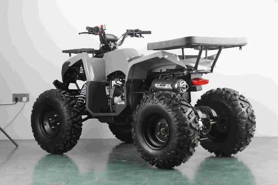 Off Road 10 inch Tire 200CC 250CC Adult Quad ATV with Automatic Start and Chain Drive