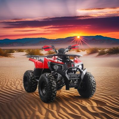 Off Road 10 inch Tire 200CC 250CC Adult Quad ATV with Automatic Start and Chain Drive