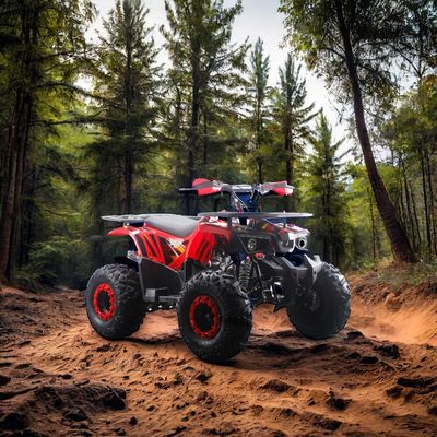 125cc Children ATV with Automatic Transmission and Unequipped Differential Lock