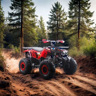 125cc ATV for Kids RunPro 2024 Electric Start Farm Quad Bike Chain Drive CE Automatic