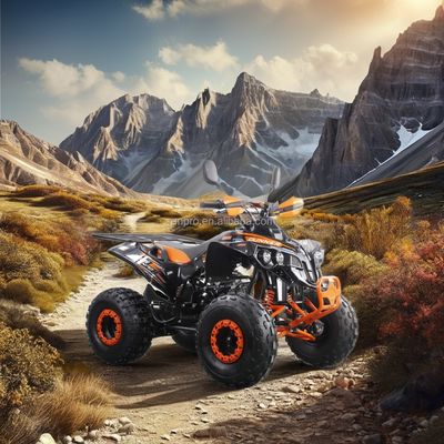 RunPro ATV 125 Customized All-terrain Four-wheel Double Four-wheeler with Chain Drive