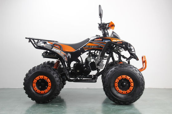 RunPro ATV 125 Customized All-terrain Four-wheel Double Four-wheeler with Chain Drive