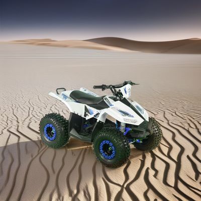 1200W 1500W 48V Electric ATV Quad for Adults 2024 Voltage 48V Maximum Speed ≤50Km/h
