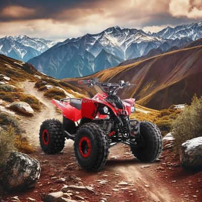 Electric Kids ATV CE Certified Quad Bike with 1500W Motor and 48V12AH Lead-Acid Battery