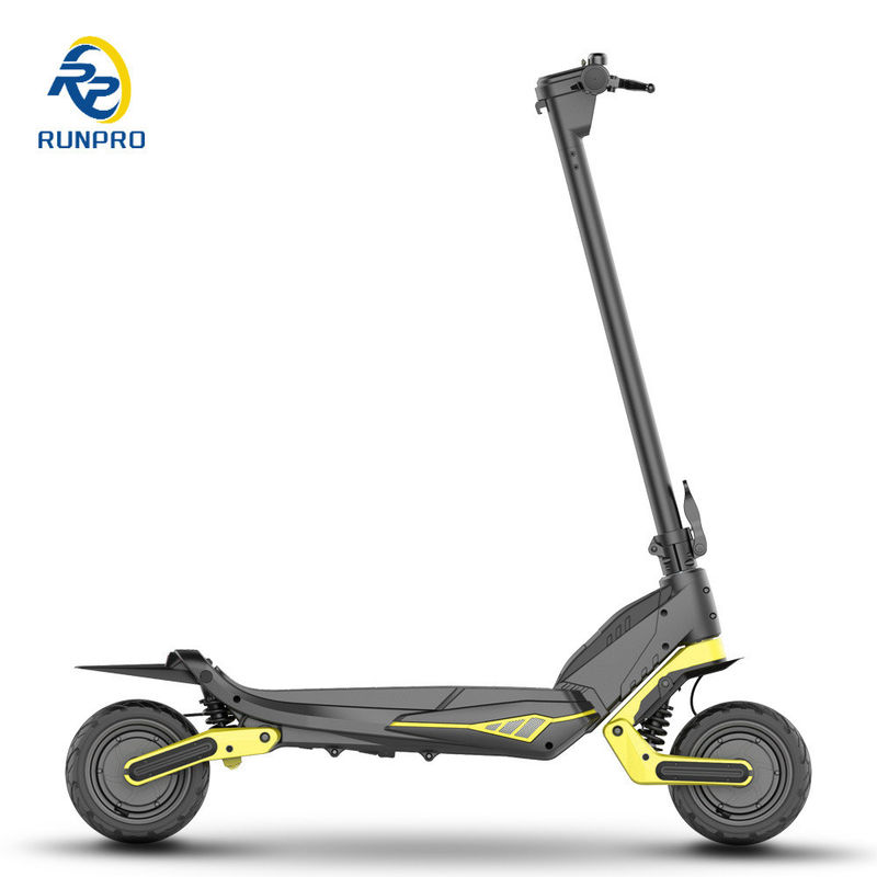 CE Approved 2024 Max Fast Two-wheel Electronic Scooter with Removable Battery 2*500W