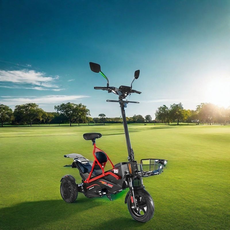 Electric Scooter with Dual Brushless Motors and Steel Frame 48V500W*2 Lithium Battery