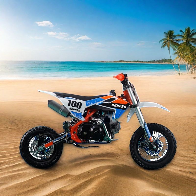 110cc 125CC 4 Stroke Manual Kids Racing Pit Dirt Bike with 14/12 Steel Rim Wheels Tires