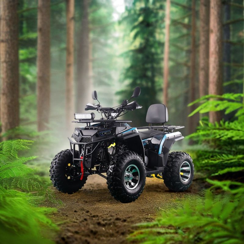 200CC ATV 250CC ATV Adult ATV Quad Bike with Chain Drive and 1000W Electric Pull Start