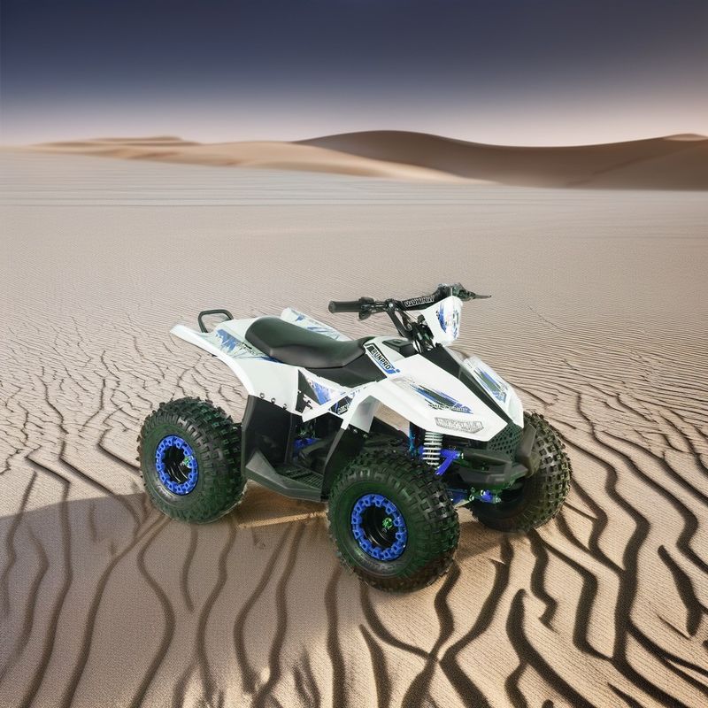 2024 Teenagers 4x4 1000W 48V 1200W Electric Shaft Driven Quad Bike Electric Quad ATV