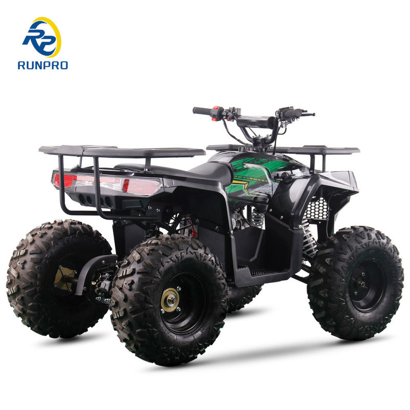 2WD All-terrain Double Four-wheeler Beach Buggy with 100-200kg Payload Capacity Perfect