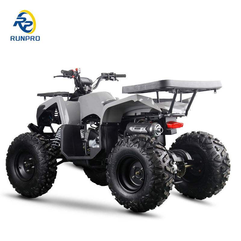 200cc 10inch Steel Wheel 2WD ATV Off Road Four Wheels Motorcycle UTV Farm Motor Quad Bike