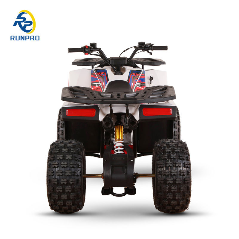 4-Stroke Engine Type 125cc 150cc Automatic Kids ATV 2x4 All Terrain Vehicles