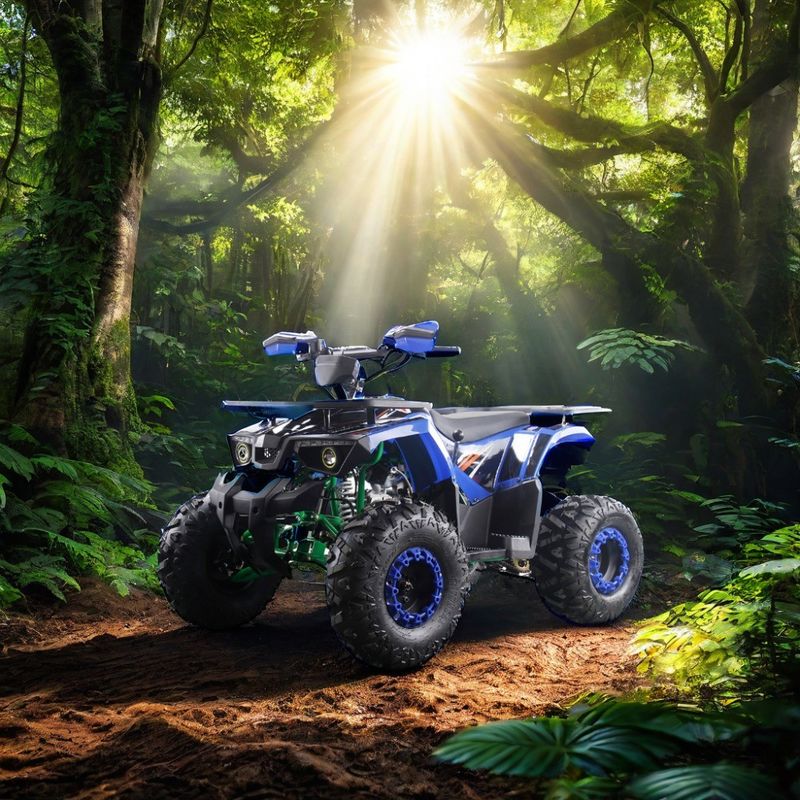 Powerful 125cc Gas Fuel ATV Quads with 2WD Driving Type and Interesting Features