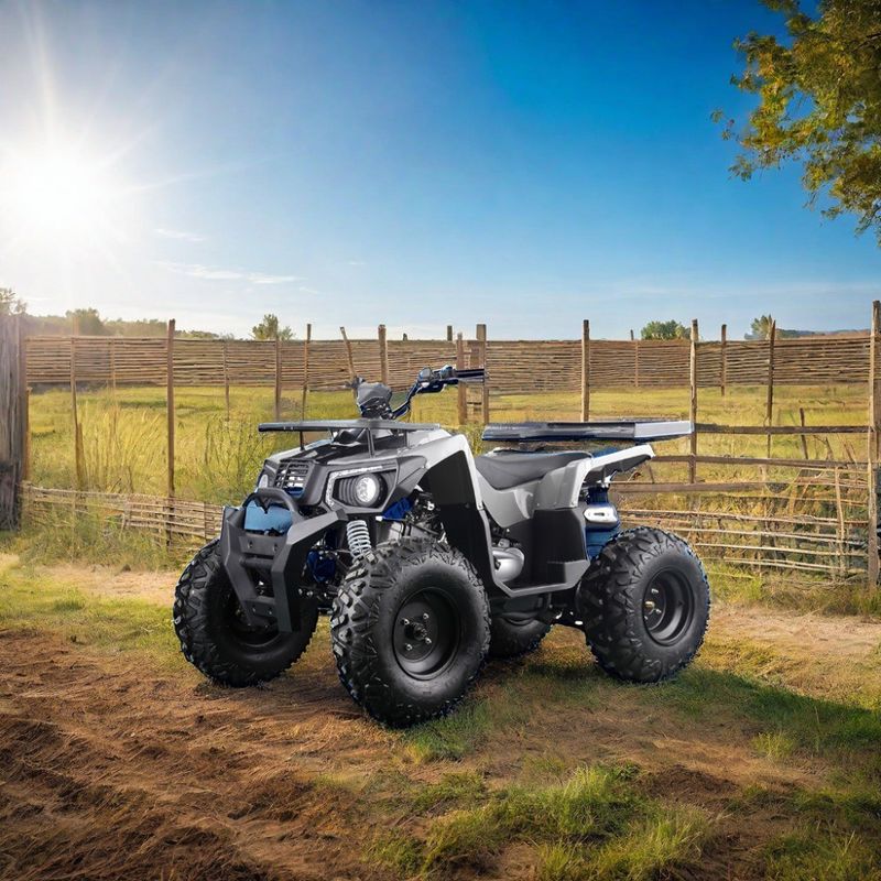 Powerful 200cc Gas ATV for Adults Maximum Torque of 40-60Nm and Top Speed of 75km/h