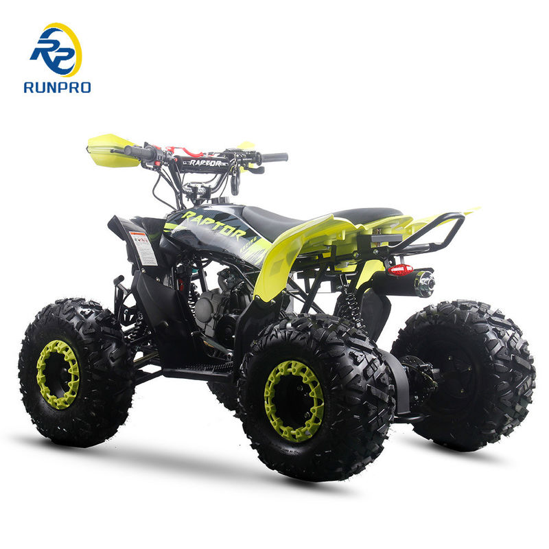 125cc Full Automatic Gasoline Runpro Quads ATV with Electric Start and Tvs Motorcycle
