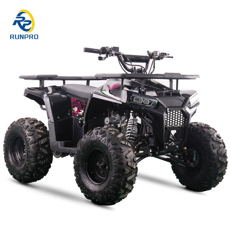 CE Certified 125cc 4 Stroke Petrol Beach Buggy with 8inch Wheels and 150kgs Max Loading
