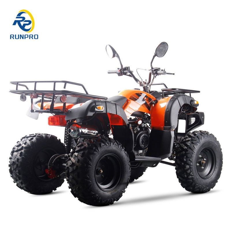 2024 Sports Adult ATV Gas 150cc 200cc 250cc 10 Inch Tire with Electric Start Funny Riding