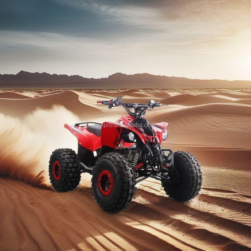 Electric Kids ATV CE Certified Quad Bike with 1500W Motor and 48V12AH Lead-Acid Battery